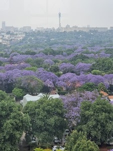 Rosebank