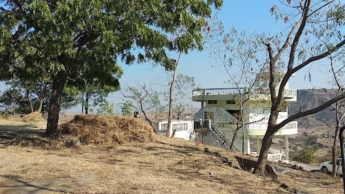 Forest Point