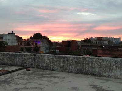 Lisari