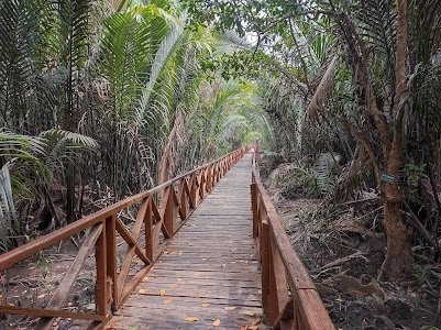 Mangrove Walkway Dhanih Nallah