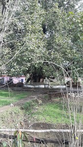 Khera Temple