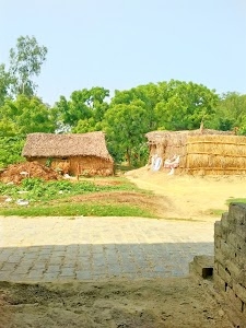 Fajilpur
