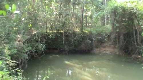 Punnayurkulam