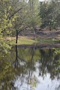 BSSK Lake Patas