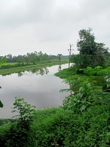 Kashinagar