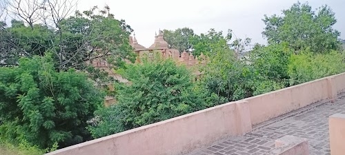 Anki Bishnoi