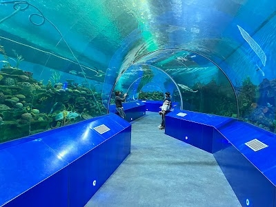 Science City Ahmedabad
