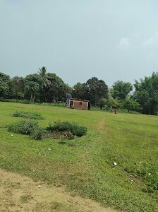 Ghilaguri fish holsale market
