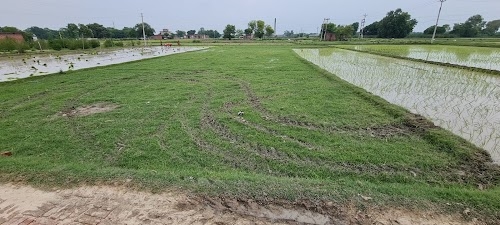 Mahashipur Ground