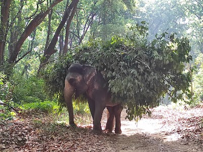 Dhikala Tourist Zone