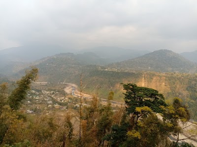 Jaldhaka Altadanga Tea Garden