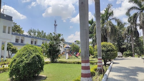 Whitehall Public School