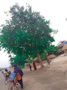 Ikrol Primary school