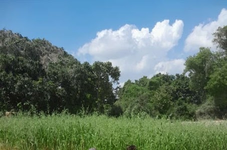 Khimsepur Vikash Kumar