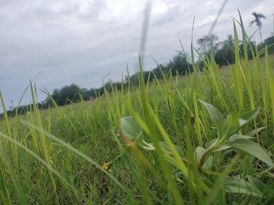 Kalaigaon Town Part
