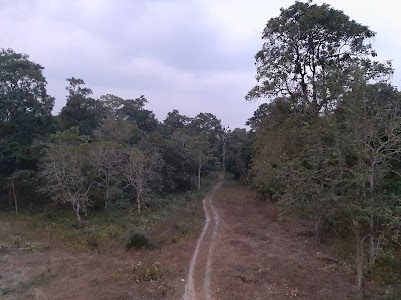 Dooars Tourism