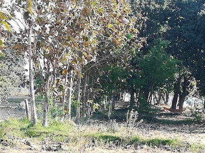 BANGAI.(CHANDU)
