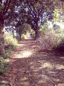 Pondikala