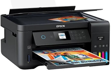 Photo Copy and Print Service's