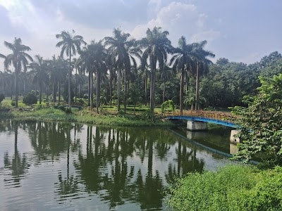City Park