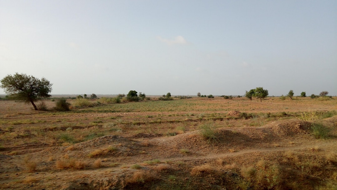 Kutch Canal