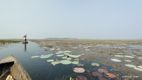 Kanvar Lake Bird Sanctuary