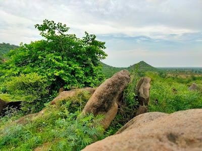 Khatoli Ahir