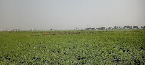 Nabi Nagar Kakrar