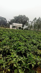 Ruhiyawan