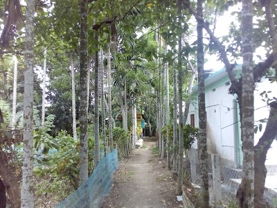 Bhotpara