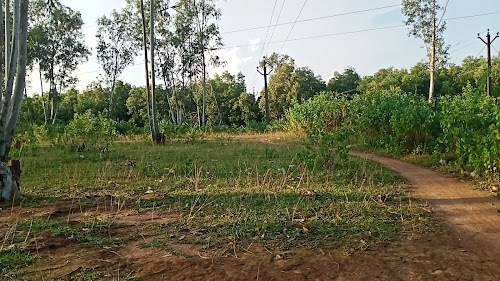 Ooty