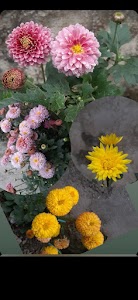Haritima Nursery Centre