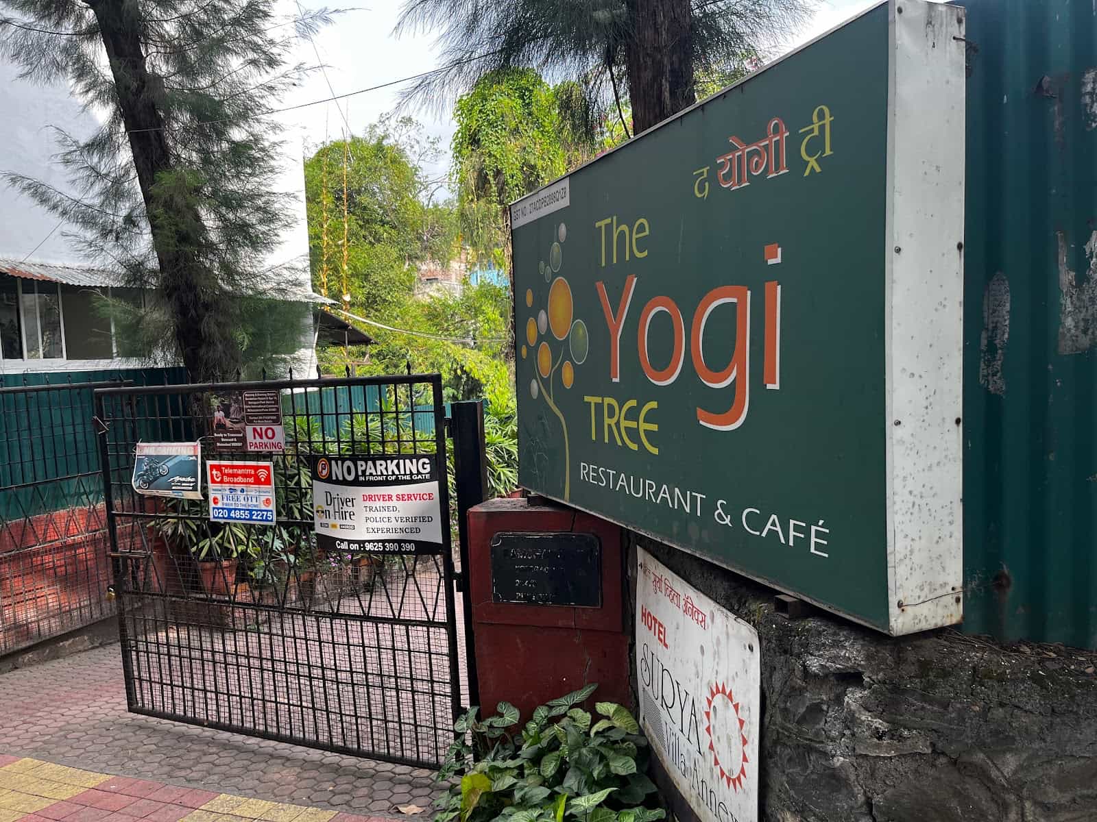 Yogi Tree