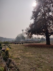 Jamia Park