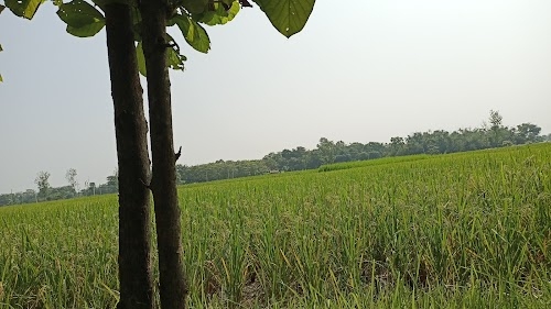 Bishanpur