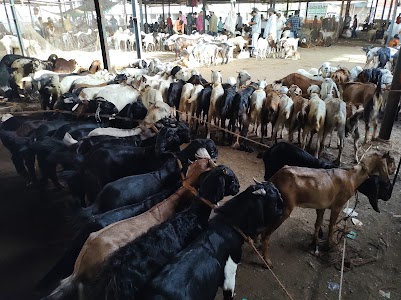Bakri Mandi, Kongoan Bhiwandi