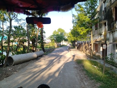 Sundarbans