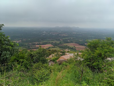 Hikkallu Betta