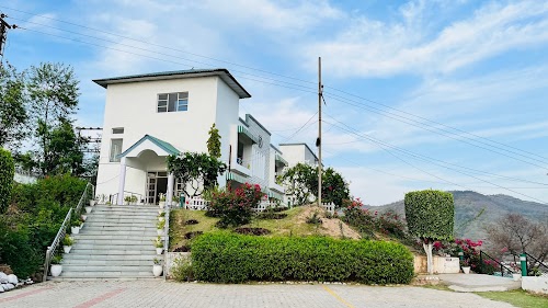 Treeoise Resort