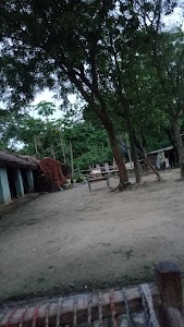 Jai Kaali Maa