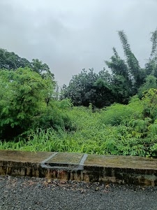 Ambivali West