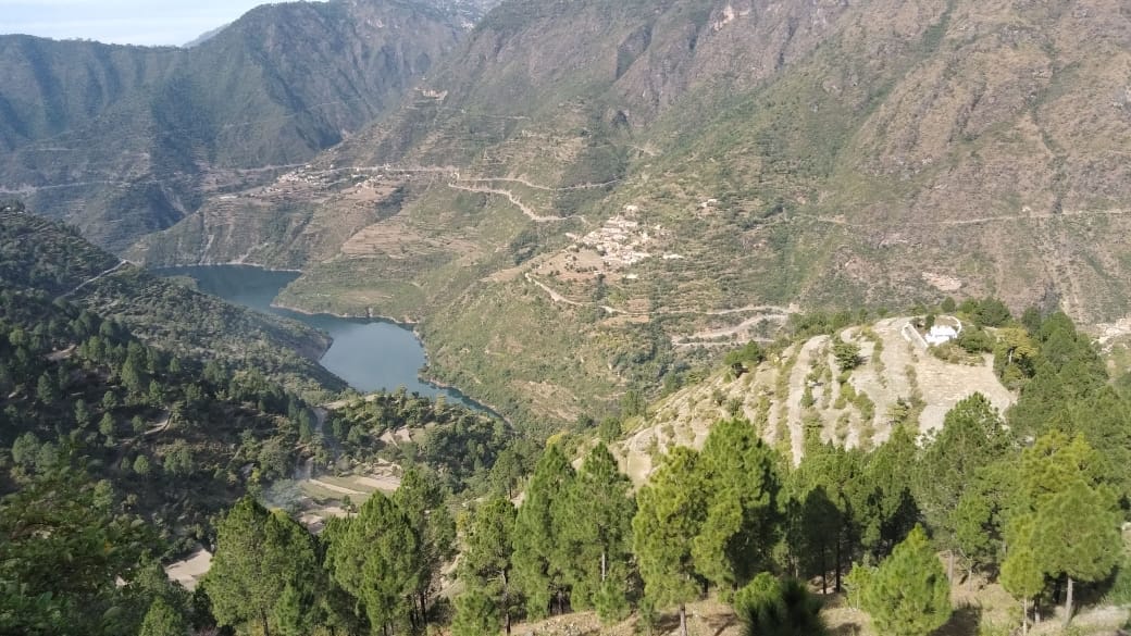 Jangi