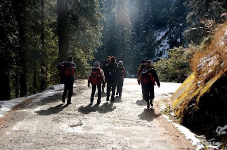 Kanatal camping, Safari and High rope course