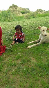Silawali
