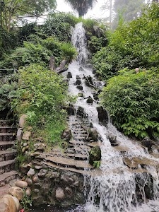 Company Garden