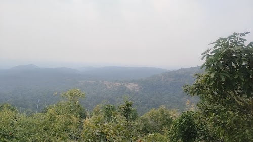 coffee view point
