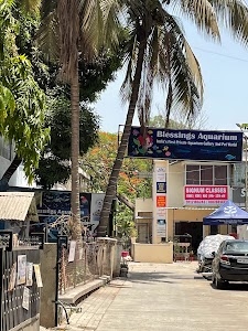 Blessings Aquarium