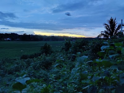 Hrishyamukh