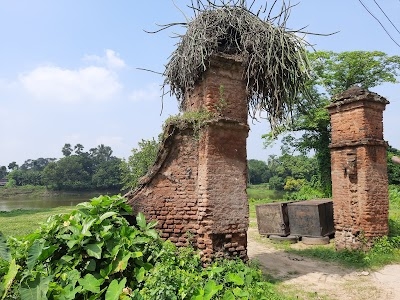 Borsul