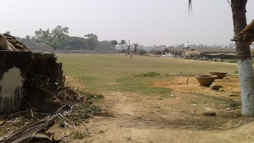 Digghi
